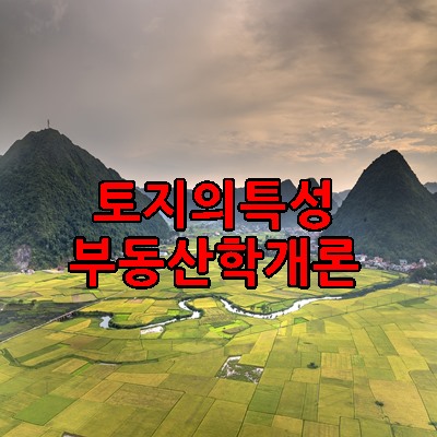 토지의특성